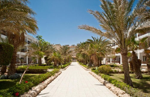 Отель Festival Shedwan Golden Beach Resort 3* (Фестиваль Шедван Голден Бич Резорт 3*) Фото отеля Festival Shedwan Golden Beach Resort 3* (Фестиваль Шедван Голден Бич Резорт 3*)