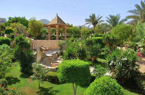 Сад отеля Royal Grand Sharm 5* (Роял Гранд Шарм 5*) Фото отеля Royal Grand Sharm 5* (Роял Гранд Шарм 5*)