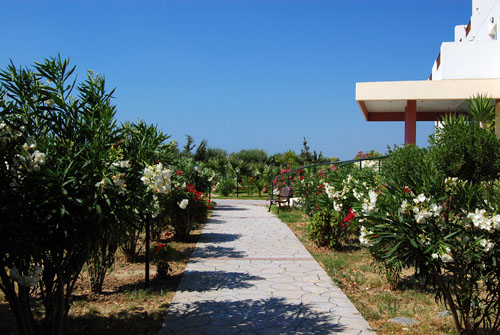 Сад отеля Evripides Village Beach 4* (Эврипидис Вилладж Бич 4*) Фото отеля Evripides Village Beach 4* (Эврипидис Вилладж Бич 4*)