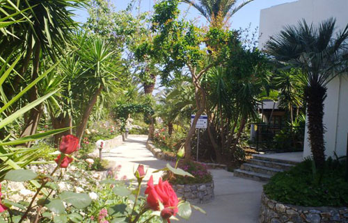 Отель Sandy Beach Hotel 3* (Санди Бич Отель 3*) Фото отеля Sandy Beach Hotel 3* (Санди Бич Отель 3*)