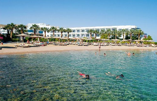 Пляж отеля Sea Shell Hotel 4* (Си Шелл Отель 4*) Фото отеля Sea Shell Hotel 4* (Си Шелл Отель 4*)