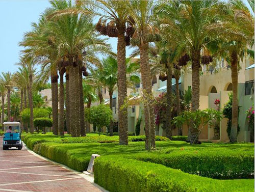 Отель Grand Rotana Resort & Spa 5* (Гранд Ротана Резорт энд Спа 5*) Фото отеля Grand Rotana Resort & Spa 5* (Гранд Ротана Резорт энд Спа 5*)