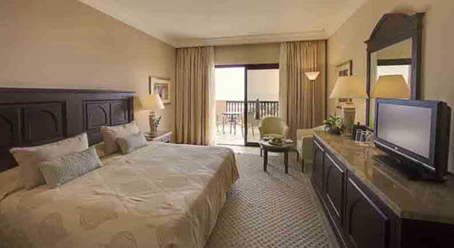 Номер отеля Miramar Al Aqah Beach Resort 5* (Мирамар Аль Ака Бич Резорт 5*) Фото отеля Miramar Al Aqah Beach Resort 5* (Мирамар Аль Ака Бич Резорт 5*)