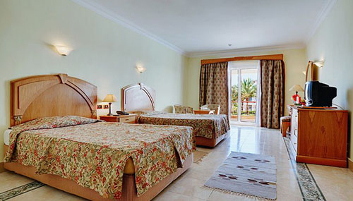 Номер отеля Viva Sharm Hotel 3* (Вива Шарм Отель 3*) Фото отеля Viva Sharm Hotel 3* (Вива Шарм Отель 3*)