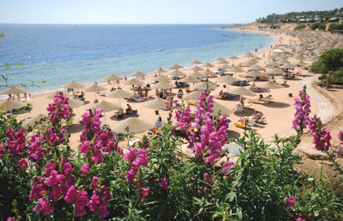Пляж отеля Domina Coral Bay Aquamarine Pool 5* (Домина Корал Бей Аквамарин Пул 5*) Фото отеля Domina Coral Bay Aquamarine Pool 5* (Домина Корал Бей Аквамарин Пул 5*)