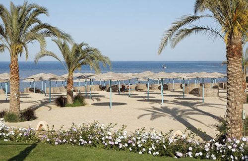 Пляж отеля The Three Corners Sunny Beach Resort 4* (Три Корнерс Санни Бич Резорт 4*) Фото отеля The Three Corners Sunny Beach Resort 4* (Три Корнерс Санни Бич Резорт 4*)