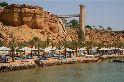 Пляж отеля Beach Albatros Sharm 4* (Бич Альбатрос Шарм 4*) Фото отеля Beach Albatros Sharm 4* (Бич Альбатрос Шарм 4*)