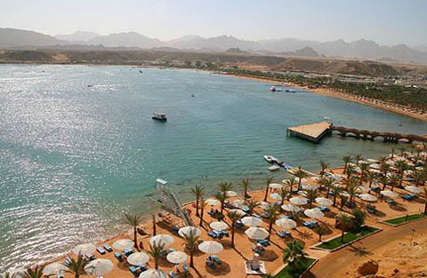 Пляж отеля Beach Albatros Sharm 4* (Бич Альбатрос Шарм 4*) Фото отеля Beach Albatros Sharm 4* (Бич Альбатрос Шарм 4*)