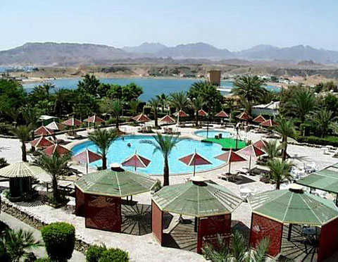 Бассейн отеля Beach Albatros Sharm 4* (Бич Альбатрос Шарм 4*) Фото отеля Beach Albatros Sharm 4* (Бич Альбатрос Шарм 4*)