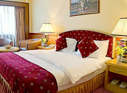 Номер отеля Delmon Hotel 4* (Делмон Отель 4*) Фото отеля Delmon Hotel 4* (Делмон Отель 4*)