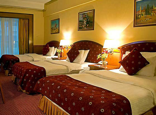 Номер отеля Delmon Hotel 4* (Делмон Отель 4*) Фото отеля Delmon Hotel 4* (Делмон Отель 4*)