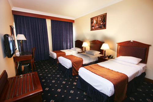 Номер отеля Mount Royal Hotel 2* (Маунт Роял Отель 2*) Фото отеля Mount Royal Hotel 2* (Маунт Роял Отель 2*)