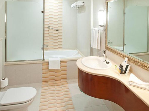 Ванная комната в номере отеля Holiday Inn Bur Dubai Embassy District 4* (Холидей Инн Бур Дубай Эмбасси Дистрикт 4*) Фото отеля Holiday Inn Bur Dubai Embassy District 4* (Холидей Инн Бур Дубай Эмбасси Дистрикт 4*)
