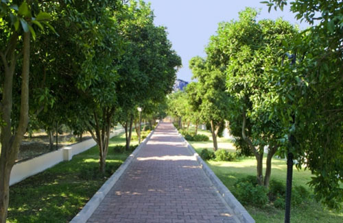 Аллея отеля Castle Park Hotel 3* (Кастл Парк Отель 3*) Фото отеля Castle Park Hotel 3* (Кастл Парк Отель 3*)