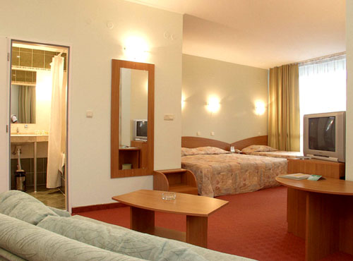 Номер Studio отеля Edelweiss Golden Sands 4* (Эдельвейс Золотые Пески 4*) Фото отеля Edelweiss Golden Sands 4* (Эдельвейс Золотые Пески 4*)