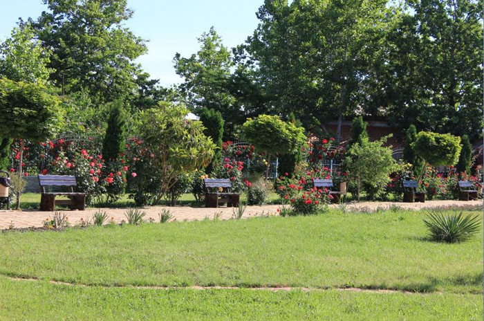 Парк отеля Aparthotel Martinez 4* (Апартотель Мартинез 4*) Фото отеля Aparthotel Martinez 4* (Апартотель Мартинез 4*)