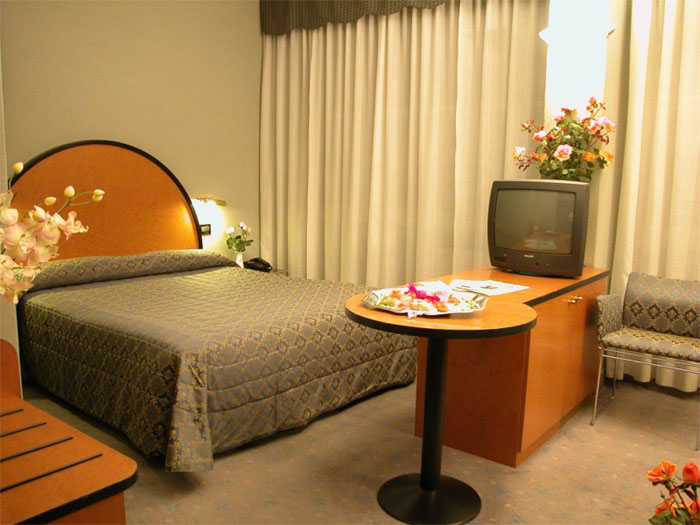 Номер отеля Hotel Delle Nazioni Milano 3* (Отель Делле Национи Милан 3*) Фото отеля Hotel Delle Nazioni Milano 3* (Отель Делле Национи Милан 3*)