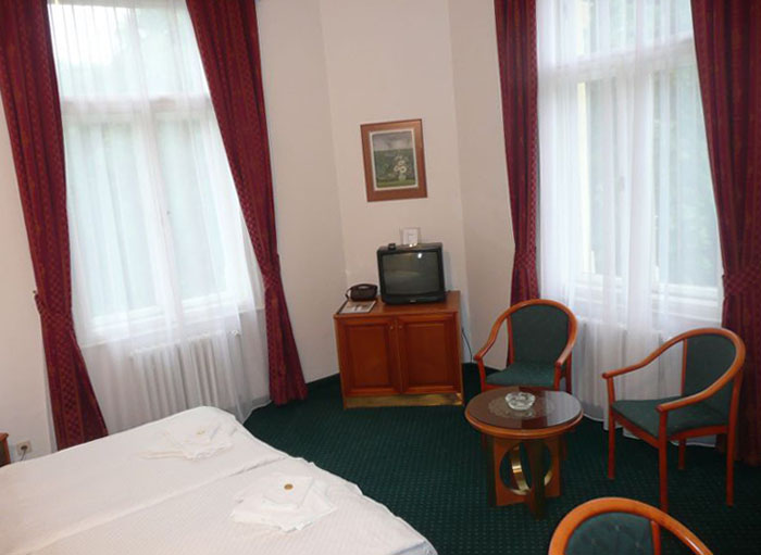 Номер Double Room отеля Smetana Vysehrad 4* (Сметана Вышерад 4*) Фото отеля Smetana Vysehrad 4* (Сметана Вышерад 4*)