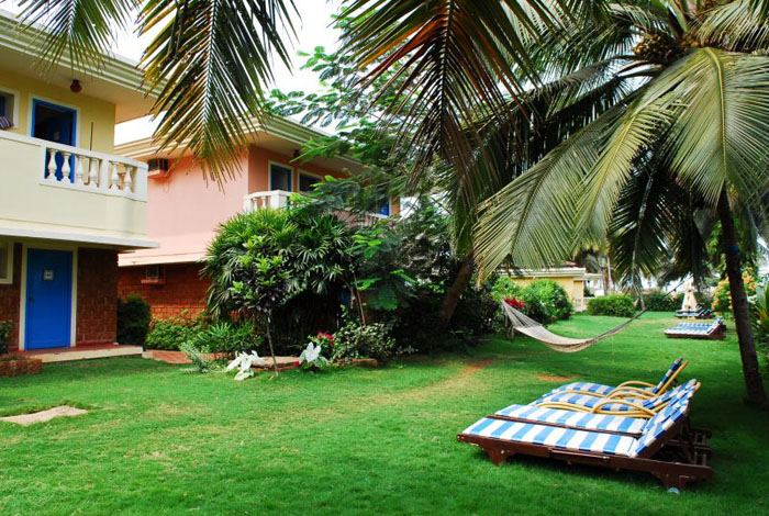 Отель Coconut Grove 4* (Коконат Грув 4*) Фото отеля Coconut Grove 4* (Коконат Грув 4*)