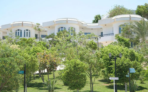 Отель Sultan Gardens Resort 5* (Султан Гарден Резорт 5*) – Шарм-эль-Шейх – Египет